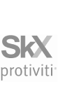 skx protiviti